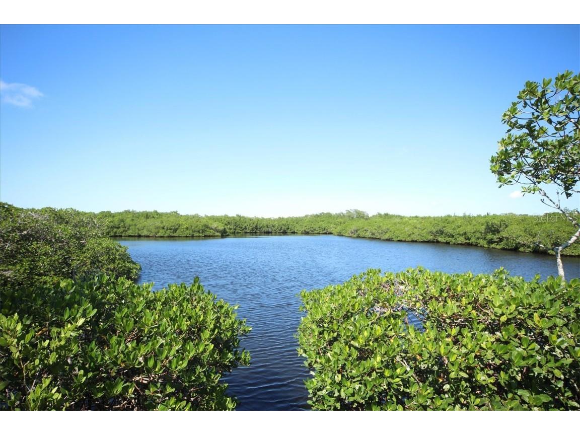 5408 Eagles Point Circle #102 Sarasota FL 34231 A4668010 image40