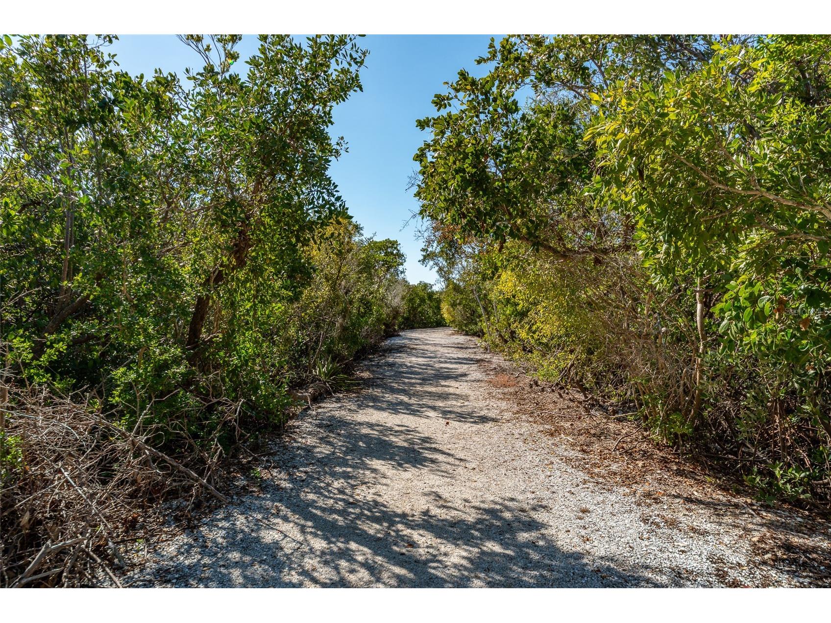 5408 Eagles Point Circle #302 Sarasota FL 34231 - INTRACOASTAL WATERWAY A4678903 image59