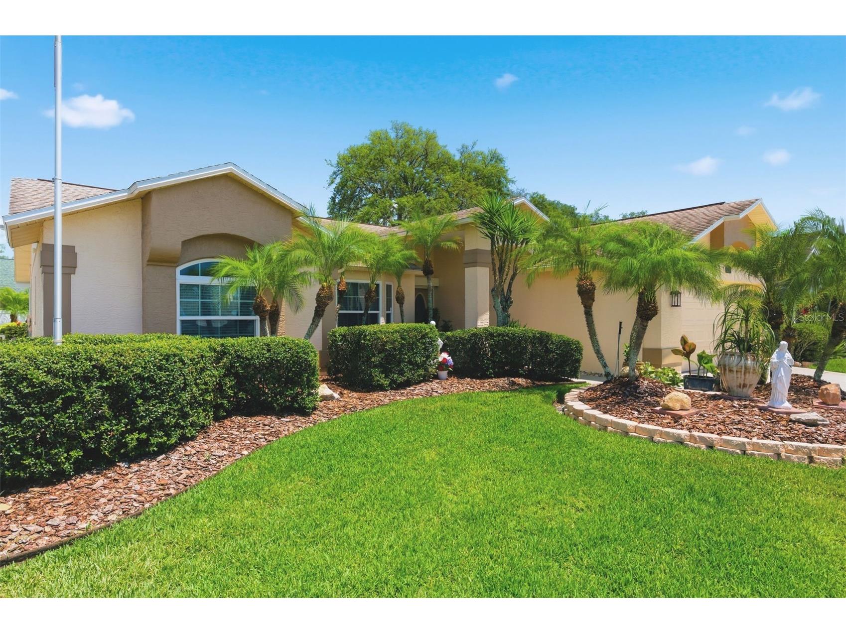 5408 Saltamonte Drive New Port Richey FL 34655 W7885854 image4