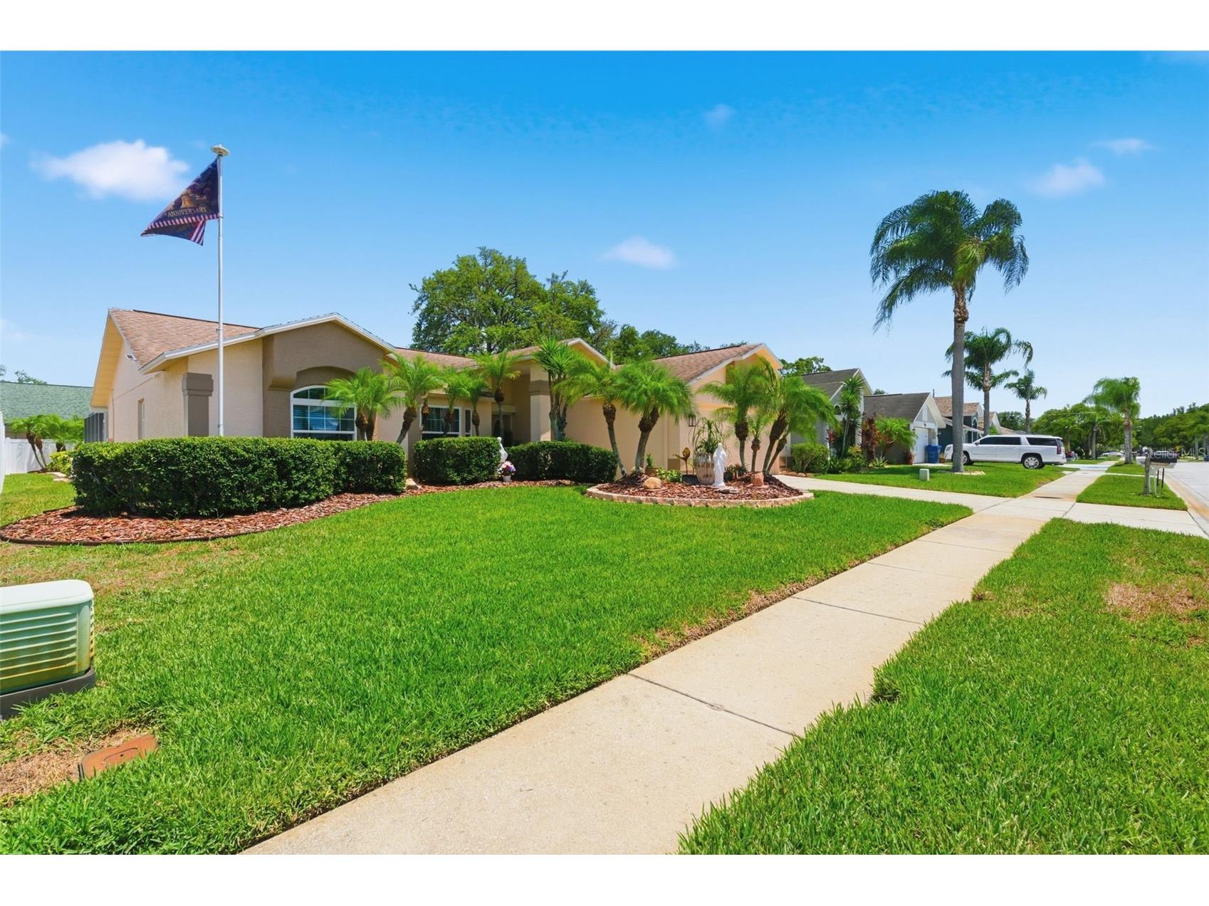 5408 Saltamonte Drive New Port Richey FL 34655 W7885854 image6