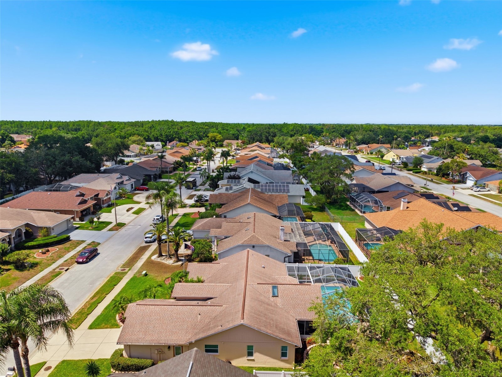 5408 Saltamonte Drive New Port Richey FL 34655 W7885854 image62
