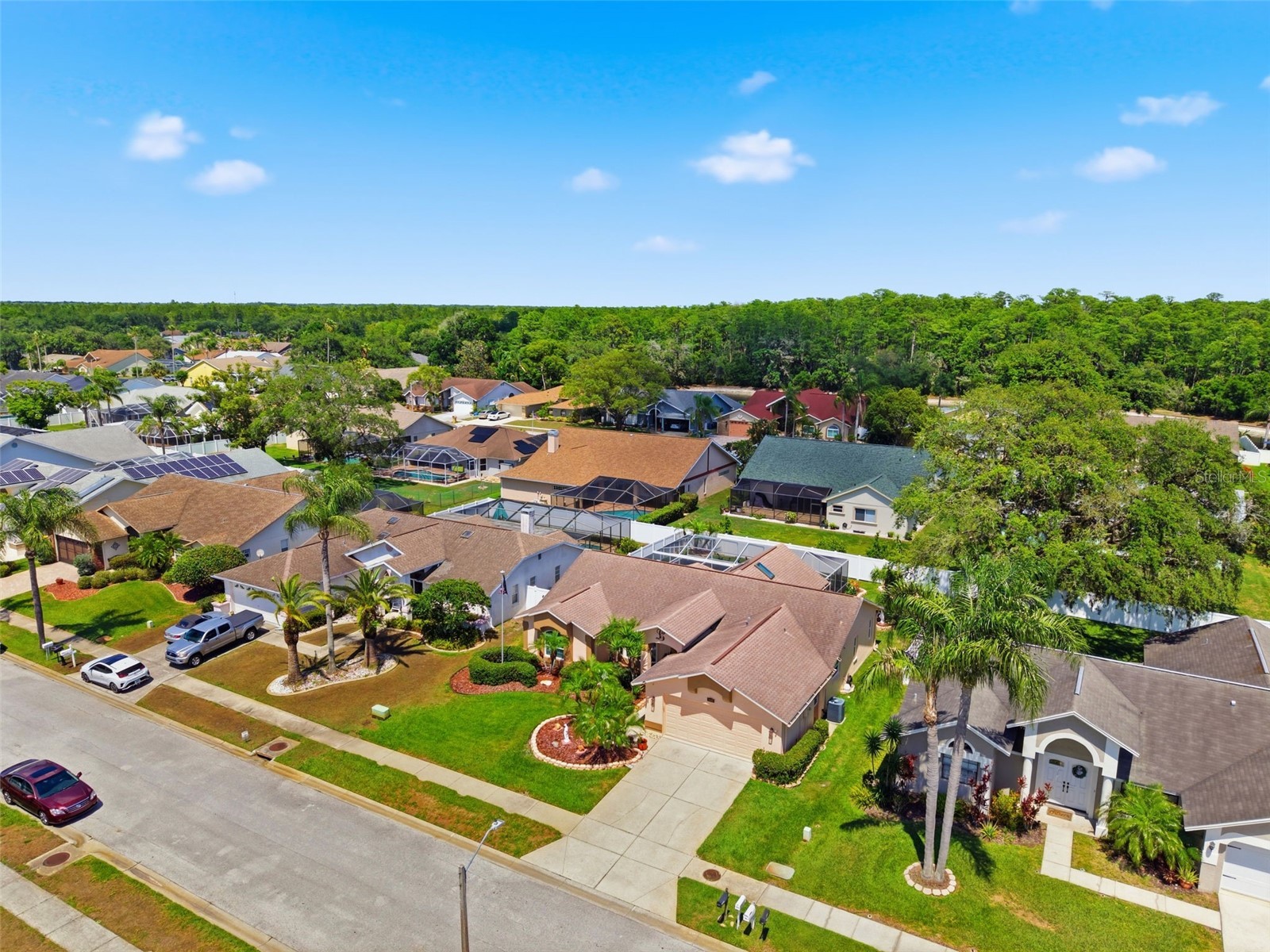 5408 Saltamonte Drive New Port Richey FL 34655 W7885854 image63