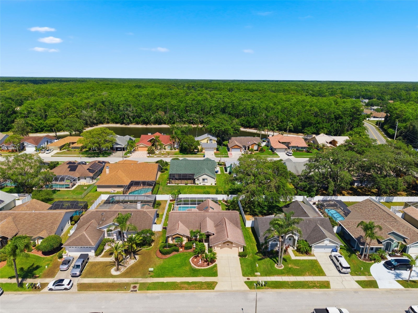 5408 Saltamonte Drive New Port Richey FL 34655 W7885854 image64