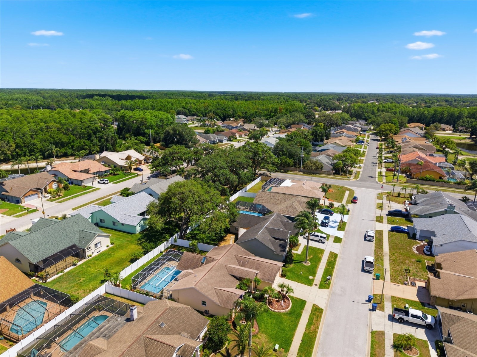 5408 Saltamonte Drive New Port Richey FL 34655 W7885854 image65
