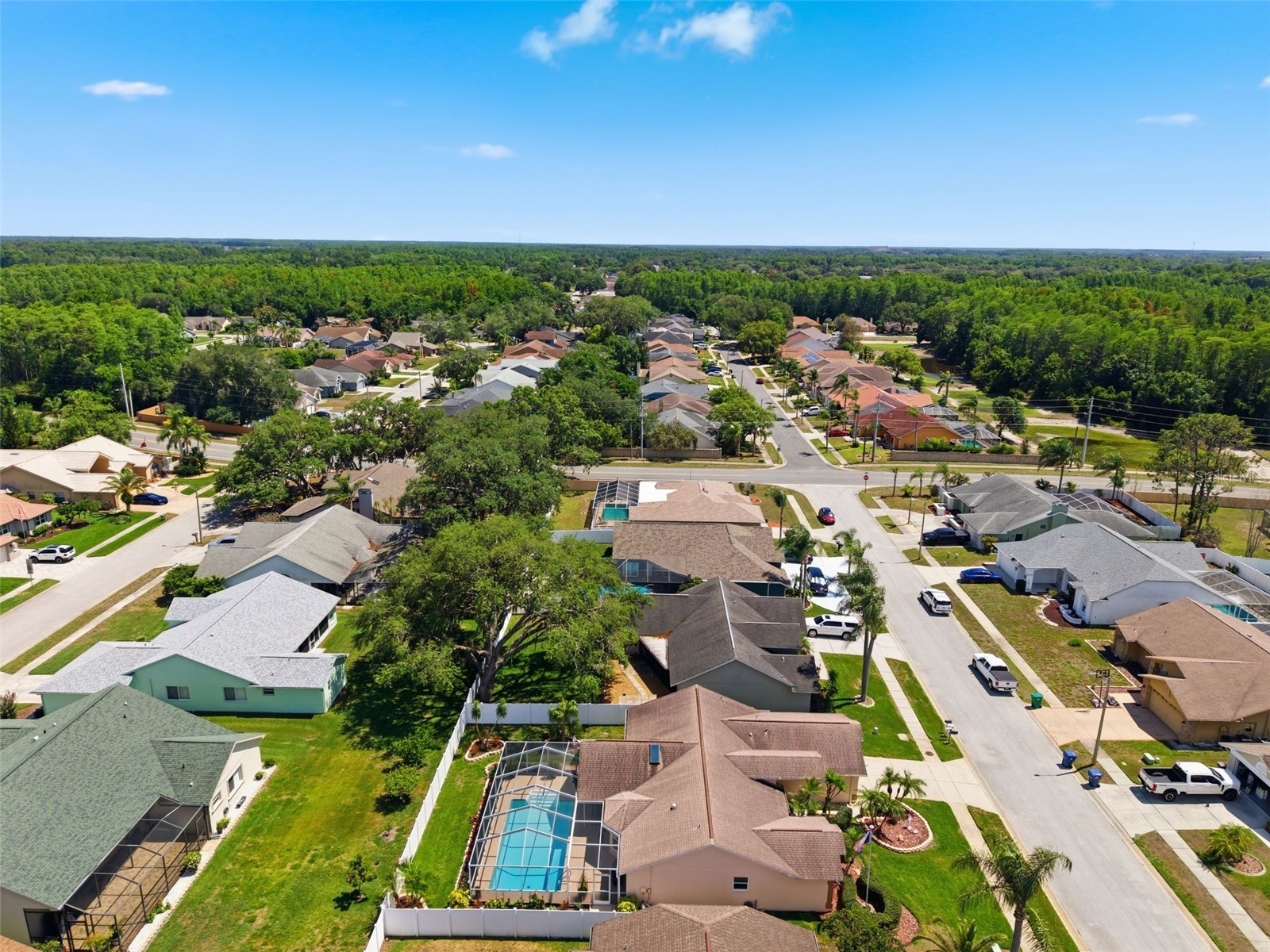 5408 Saltamonte Drive New Port Richey FL 34655 W7885854 image66