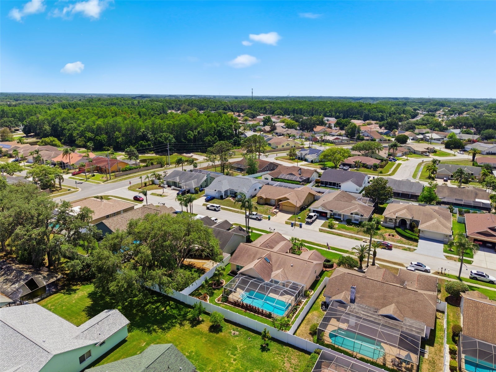 5408 Saltamonte Drive New Port Richey FL 34655 W7885854 image67