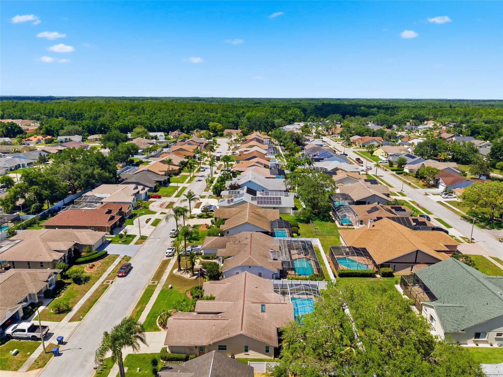 5408 Saltamonte Drive New Port Richey FL 34655 W7885854 image69
