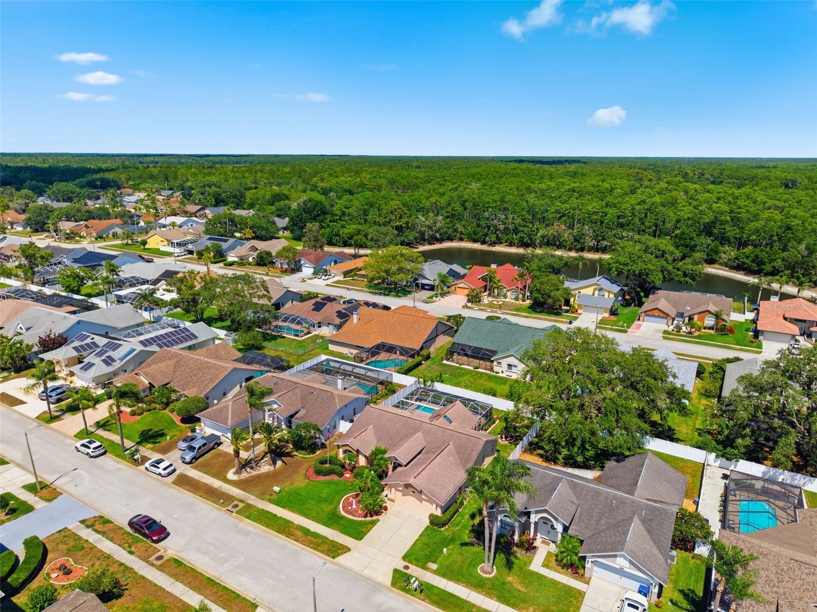 5408 Saltamonte Drive New Port Richey FL 34655 W7885854 image70