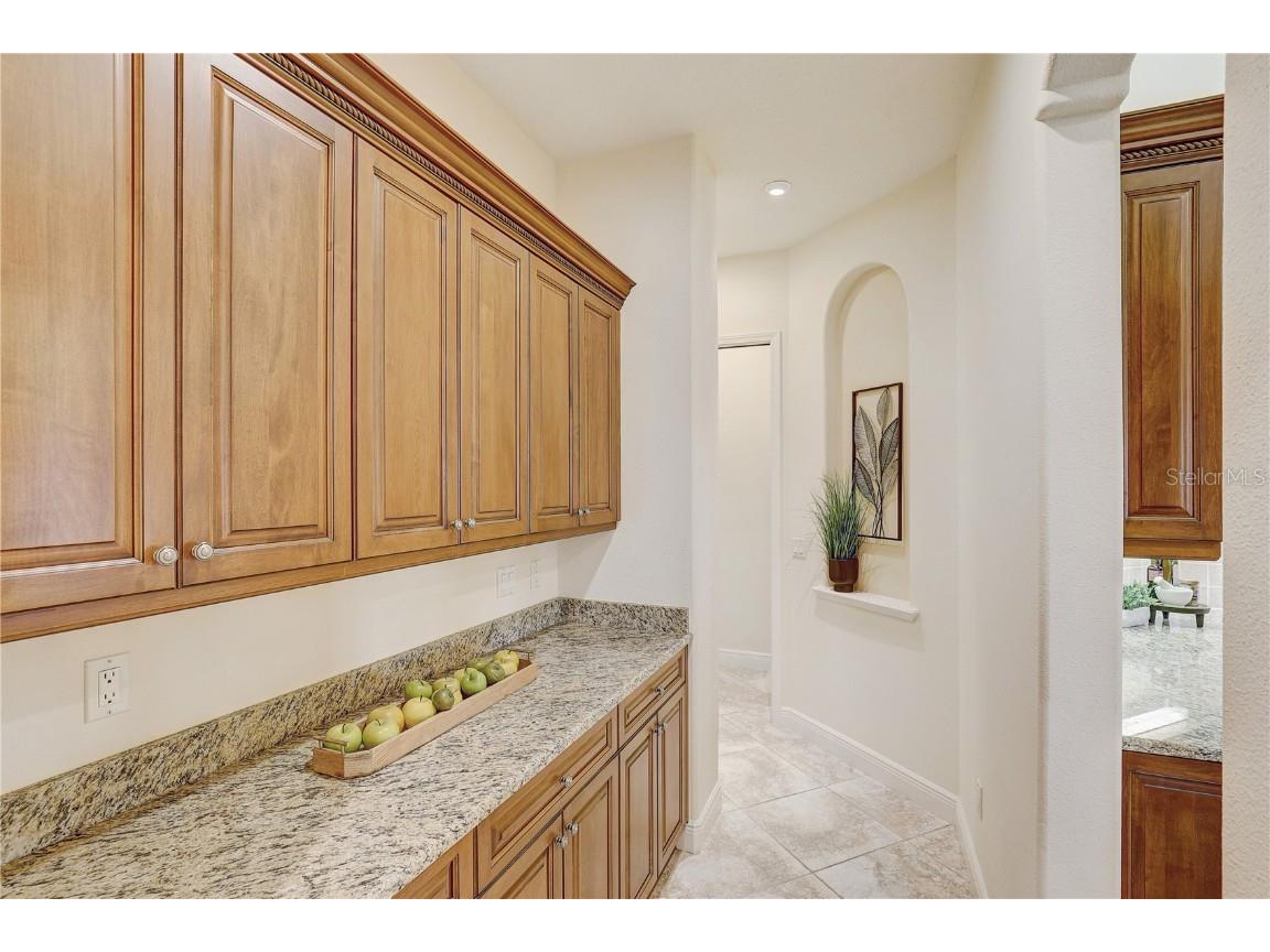 5408 Tybee Island Drive Apollo Beach FL 33572 TB8405257 image19