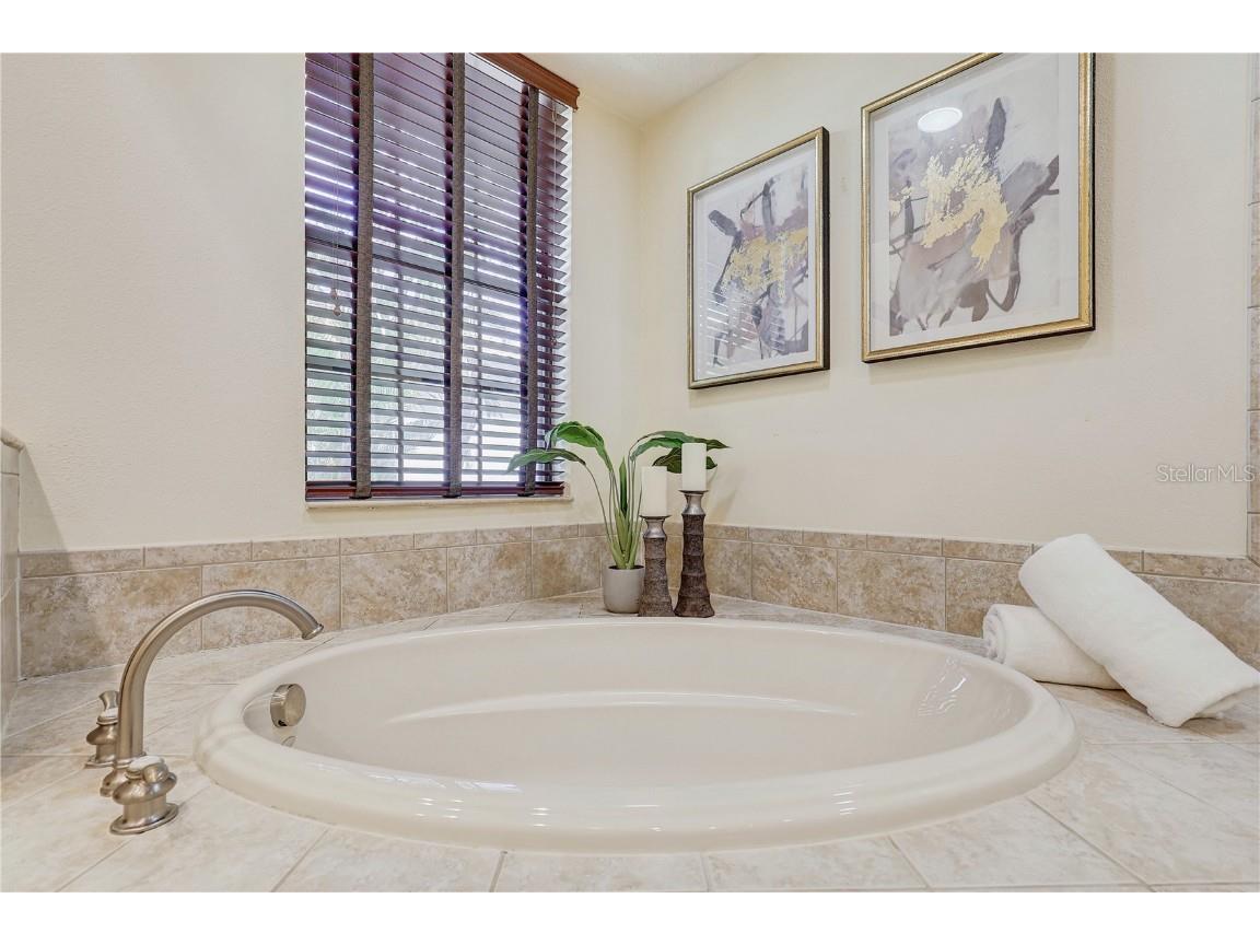 5408 Tybee Island Drive Apollo Beach FL 33572 TB8405257 image32