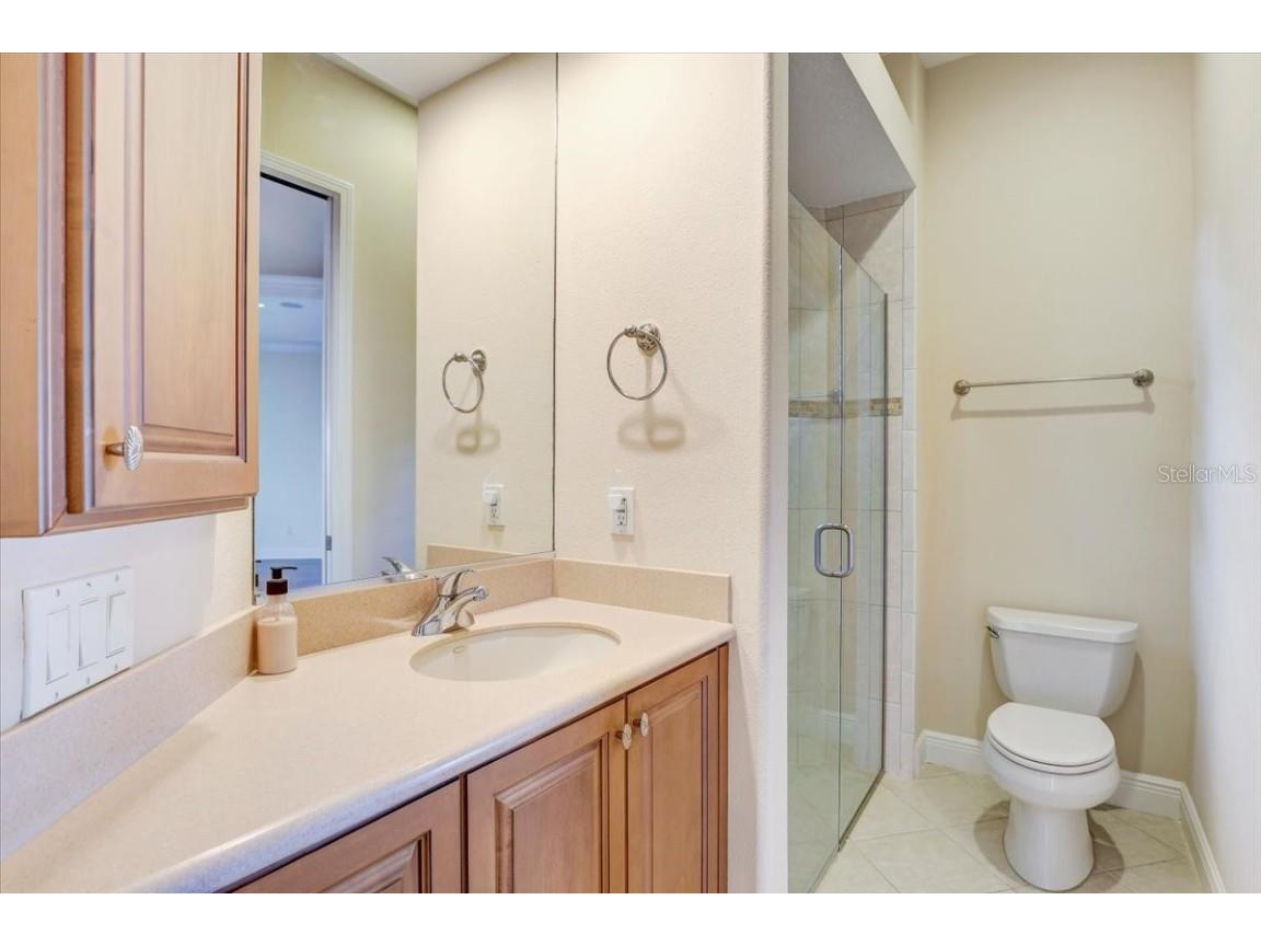 5408 Tybee Island Drive Apollo Beach FL 33572 TB8405257 image33