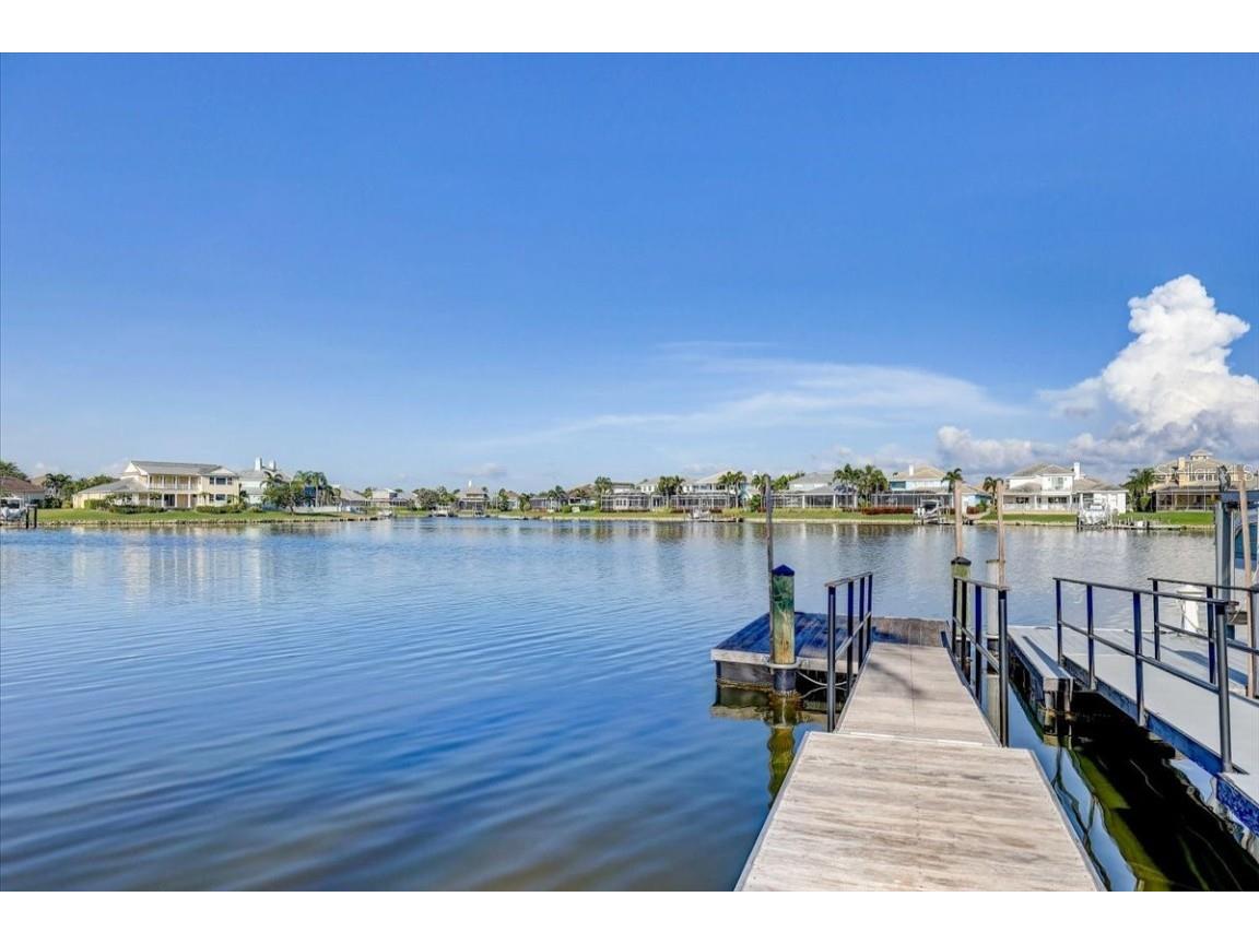 5408 Tybee Island Drive Apollo Beach FL 33572 TB8405257 image49