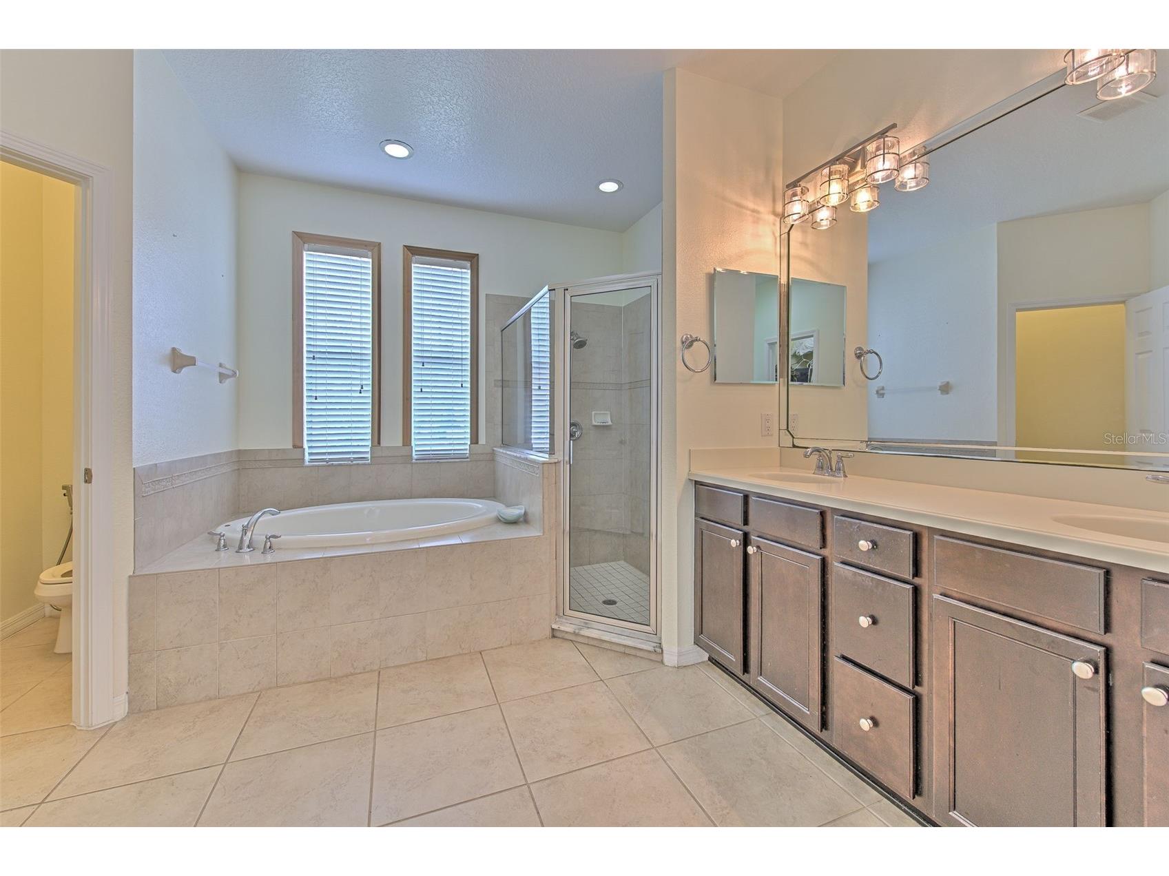5409 Conch Shell Place Apollo Beach FL 33572 TB8528445 image24