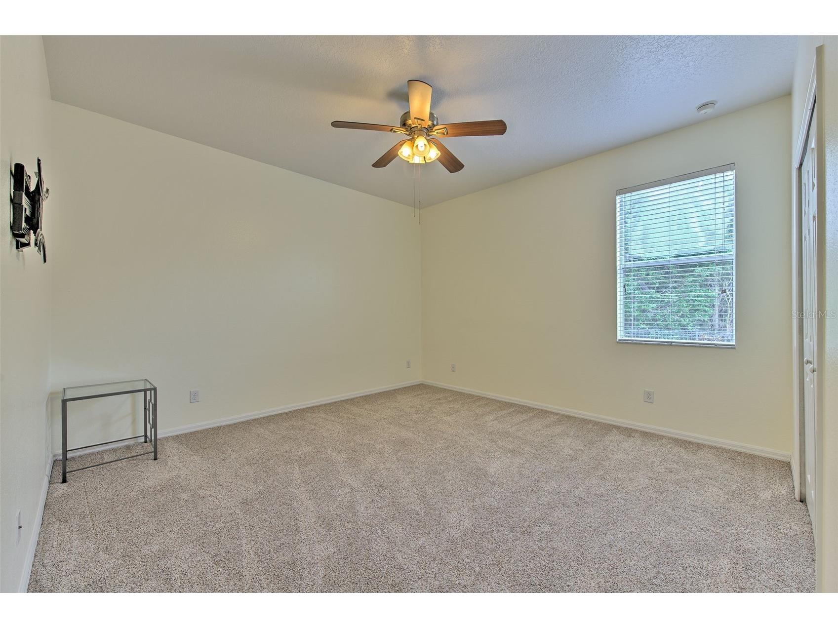 5409 Conch Shell Place Apollo Beach FL 33572 TB8528445 image27