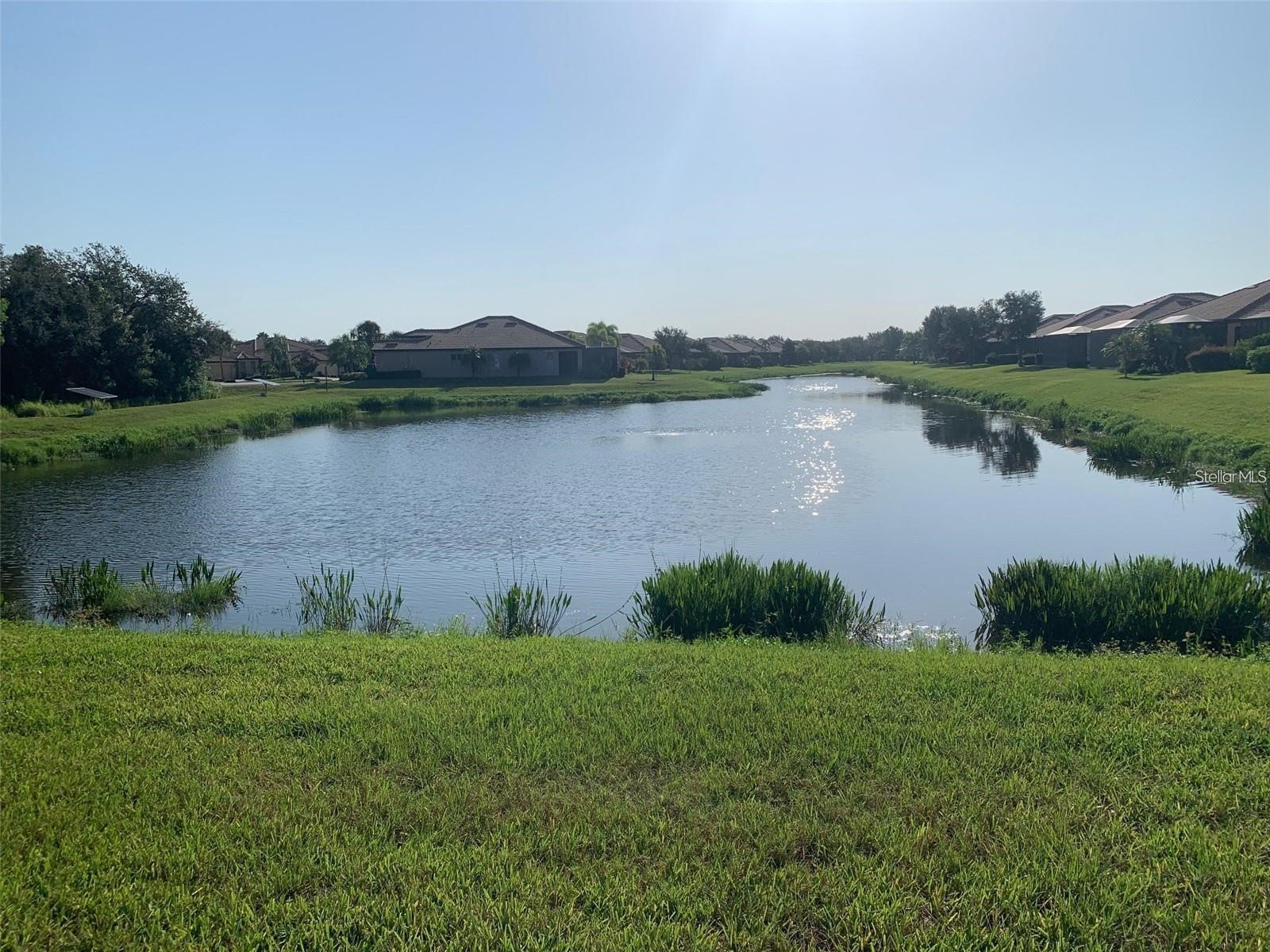 5409 Sunset Falls Drive Apollo Beach FL 33572 TB8478622 image24