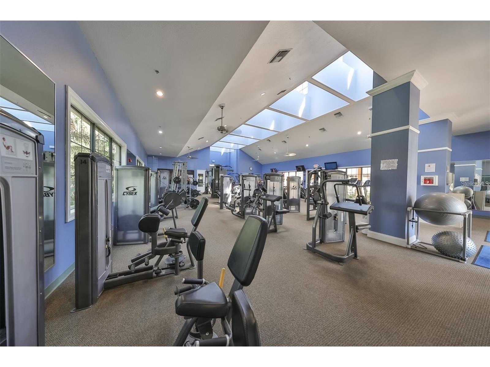 5409 Sunset Falls Drive Apollo Beach FL 33572 TB8478622 image46