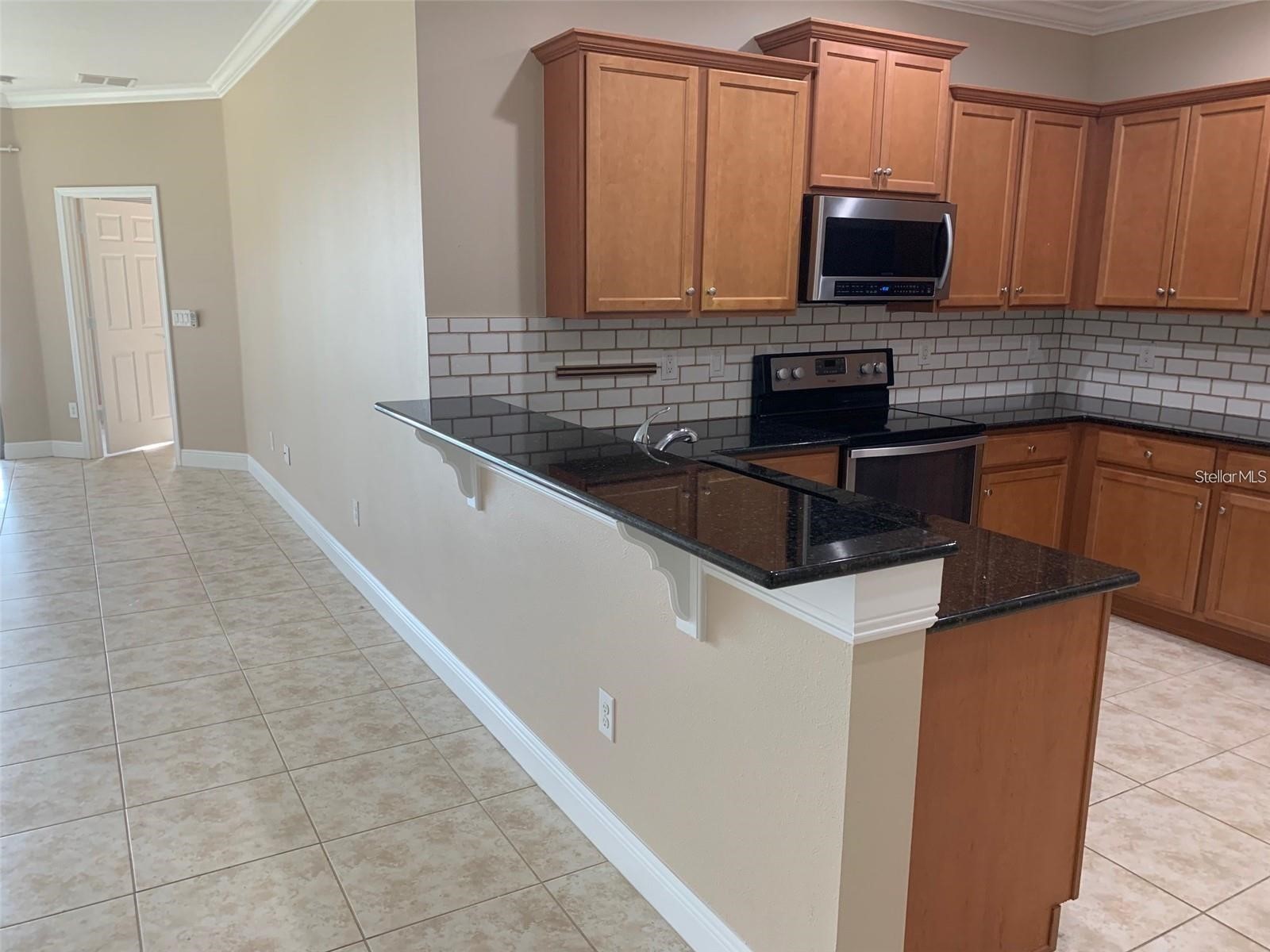 5409 Sunset Falls Drive Apollo Beach FL 33572 TB8478622 image6