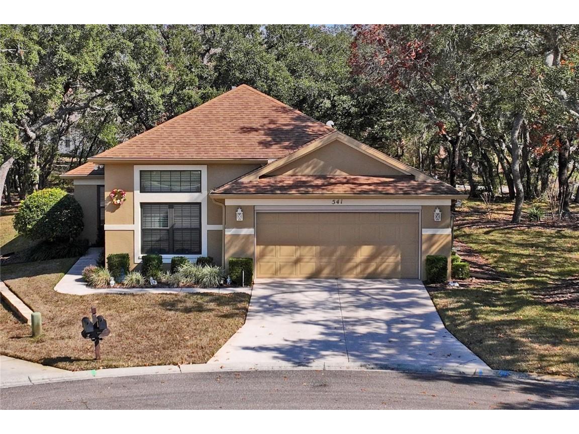 541 Bent Oak Court Spring Hill FL 34609 W7872069 image1