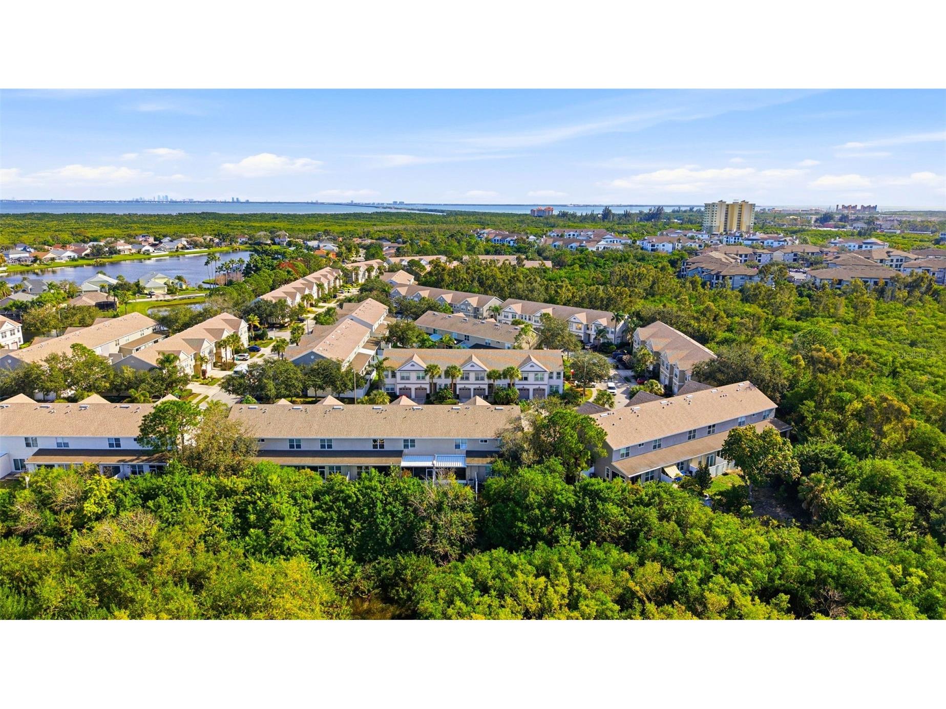 541 Black Lion Drive NE Saint Petersburg FL 33716 TB8466935 image45