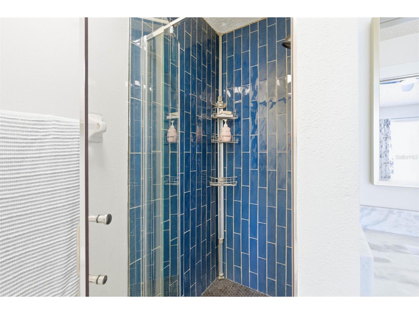 541 Black Lion Drive NE Saint Petersburg FL 33716 TB8466935 image46