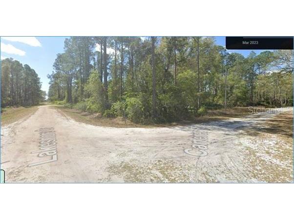 541 Carteret Georgetown FL 32139 O6151022 image1