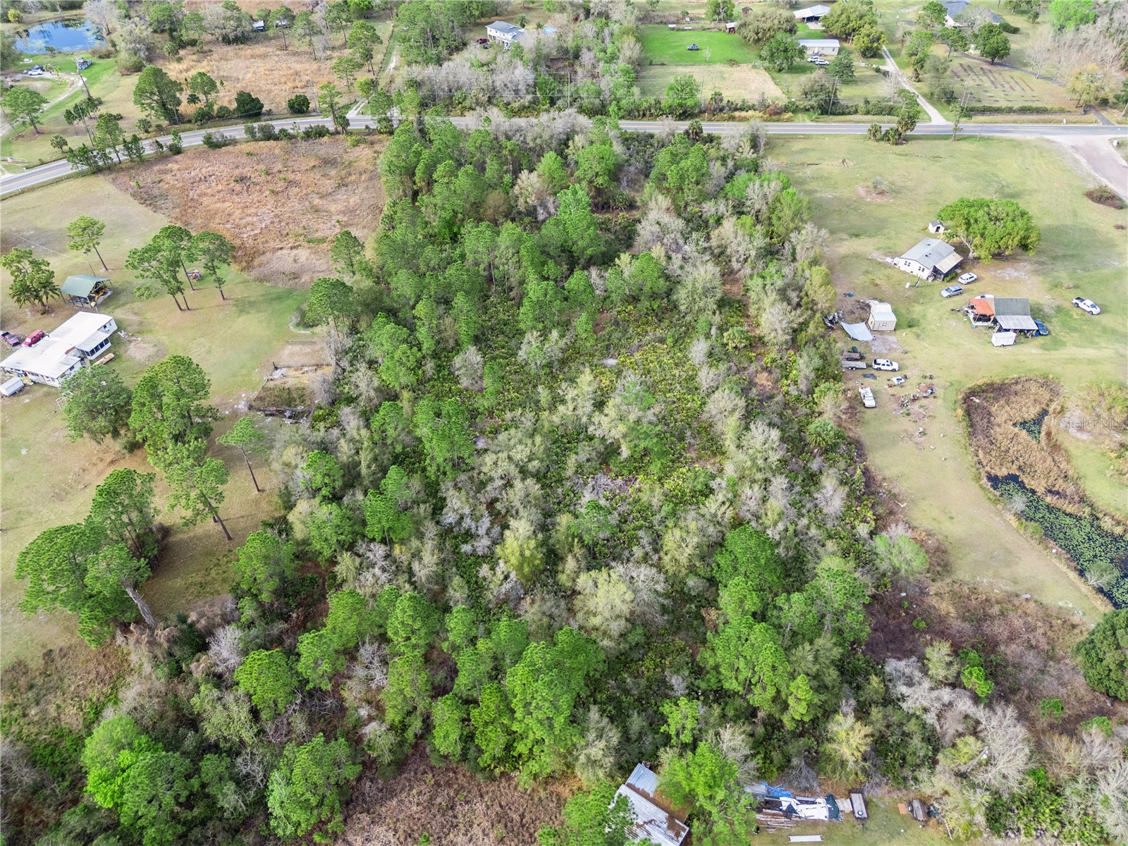 541 E Osceola Road Geneva FL 32732 O6388611 image14