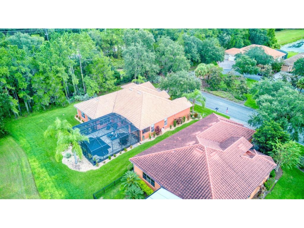 541 Milano Road Kissimmee FL 34759 S5133852 image49