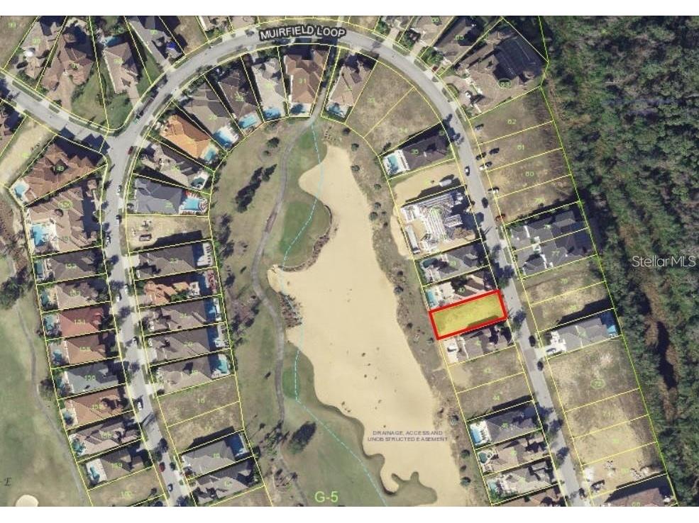 541 Muirfield Loop Reunion FL 34747 O5988321 image1