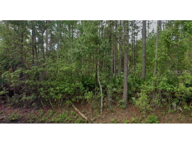 541 Palmetto Bluff Palatka FL 32177 S5101701 image1