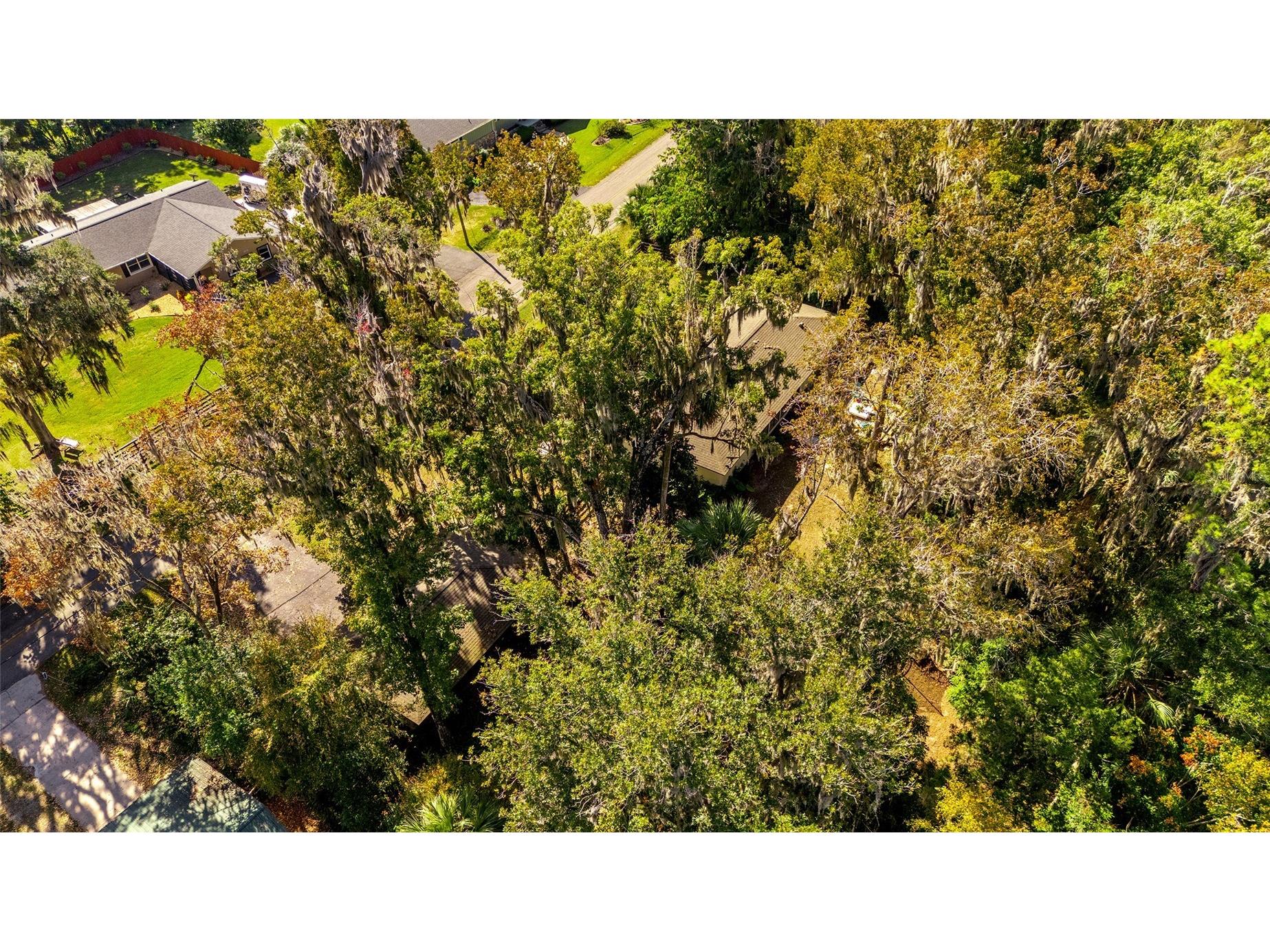 541 SW 35th Street Ocala FL 34471 OM713659 image53