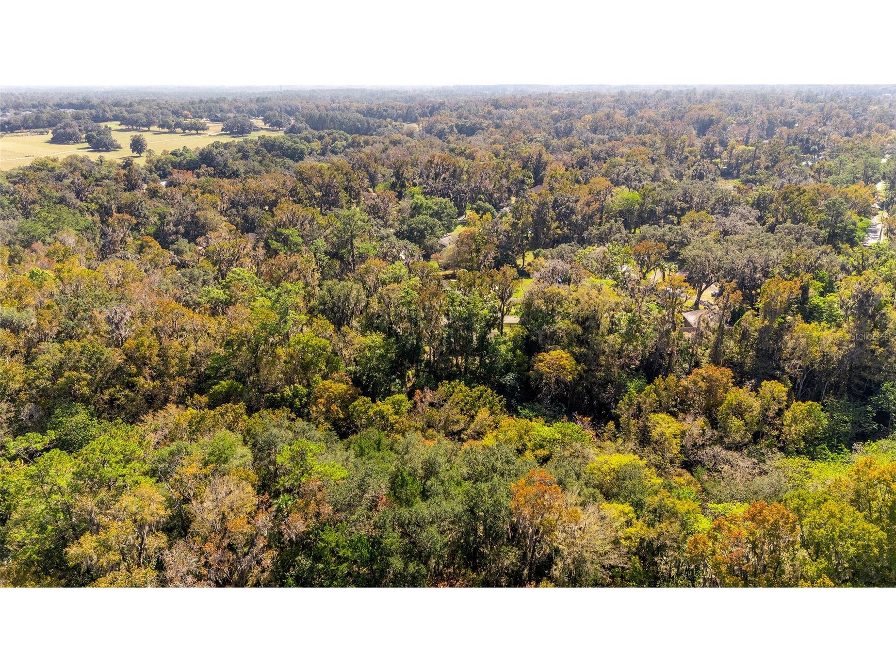 541 SW 35th Street Ocala FL 34471 OM713659 image55