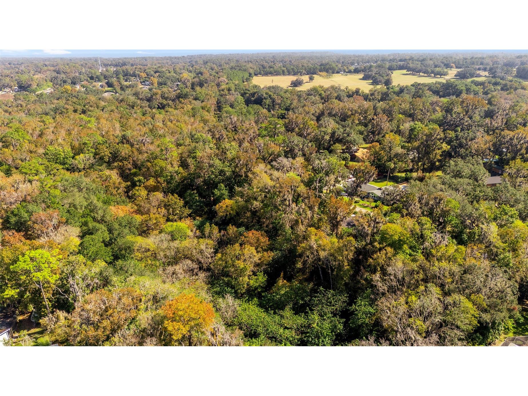 541 SW 35th Street Ocala FL 34471 OM713659 image57
