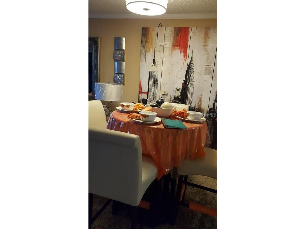 541 Trellis Court #A Orlando FL 32809 O6190701 image11