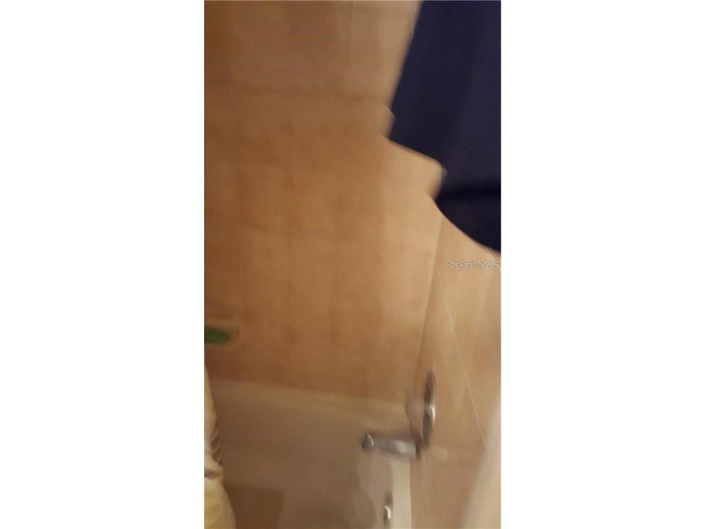 541 Trellis Court #A Orlando FL 32809 O6190701 image14