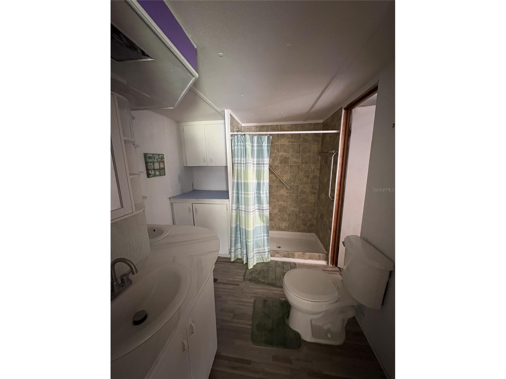 5410 Betmar Drive Zephyrhills FL 33542 TB8462134 image23