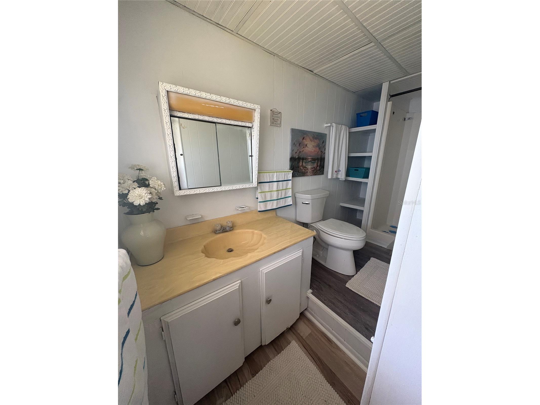 5410 Betmar Drive Zephyrhills FL 33542 TB8462134 image28