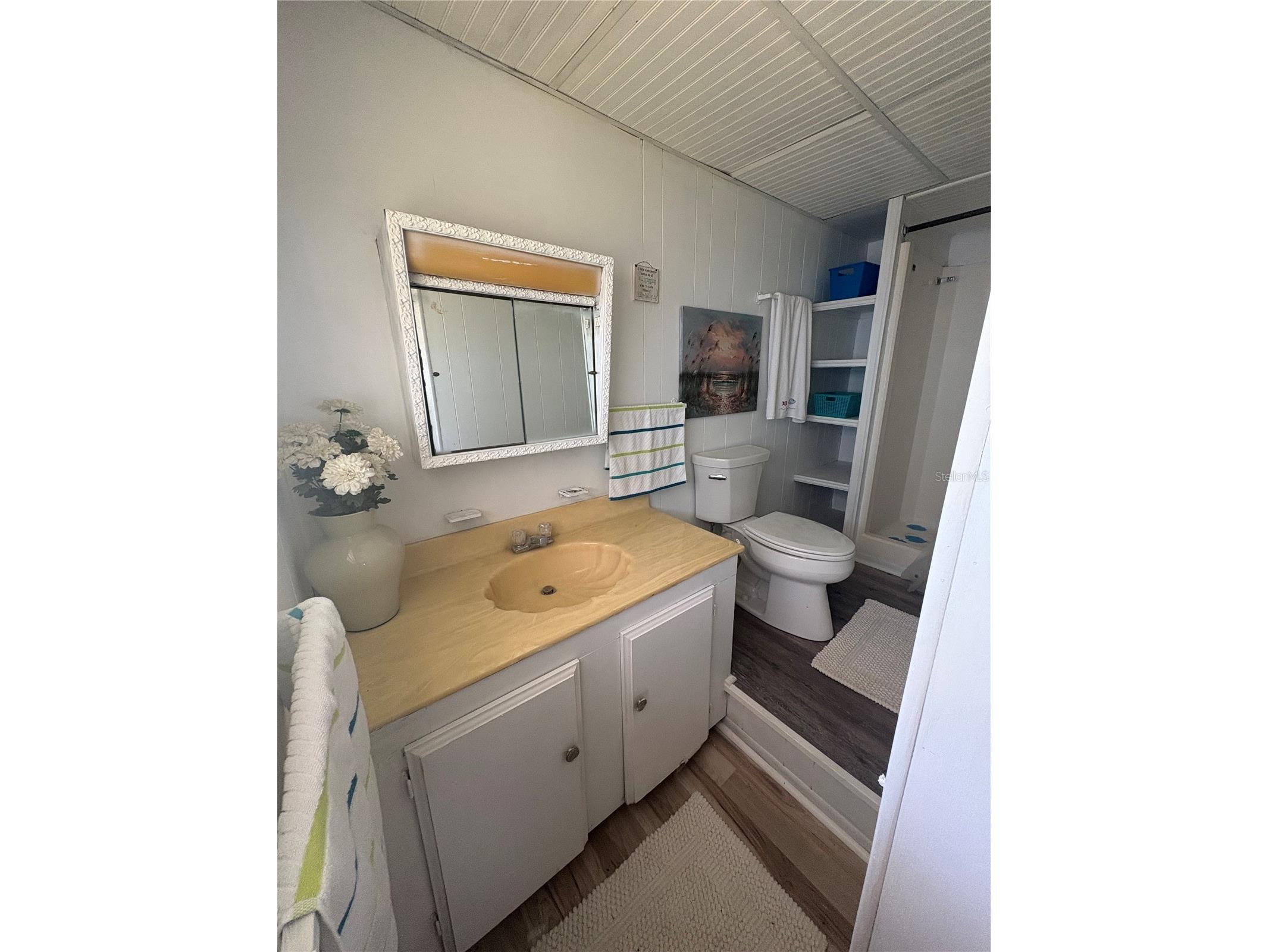 5410 Betmar Drive Zephyrhills FL 33542 TB8462134 image29