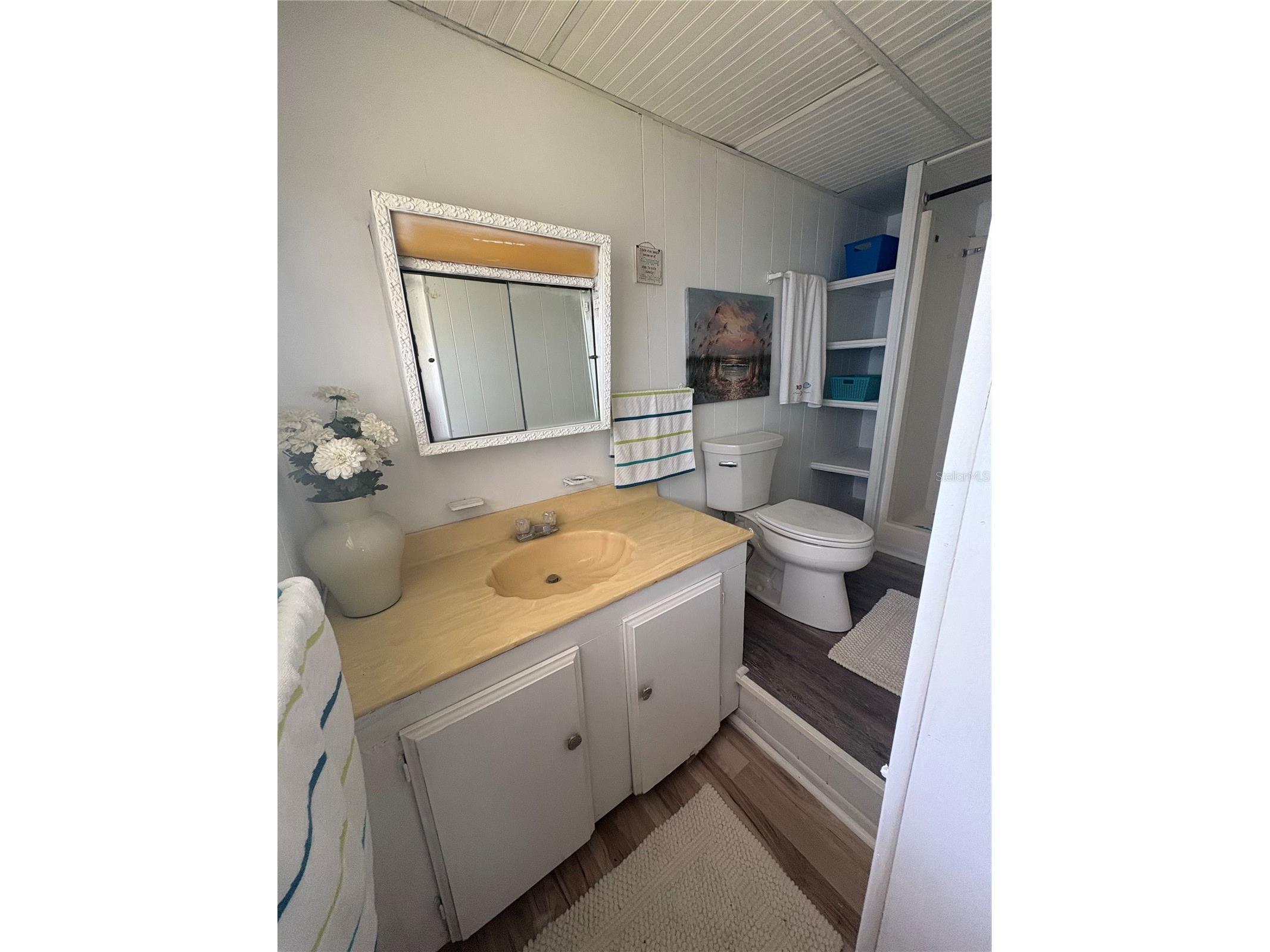 5410 Betmar Drive Zephyrhills FL 33542 TB8462134 image31