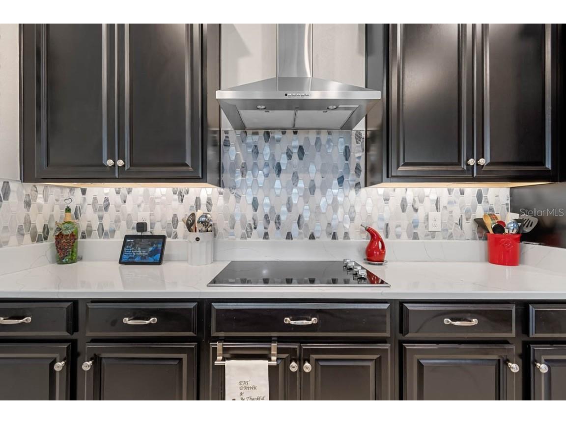 5410 Story Grass Court Wimauma FL 33598 TB8436637 image13