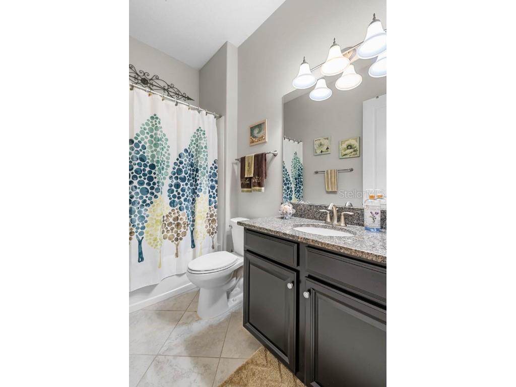 5410 Story Grass Court Wimauma FL 33598 TB8436637 image28