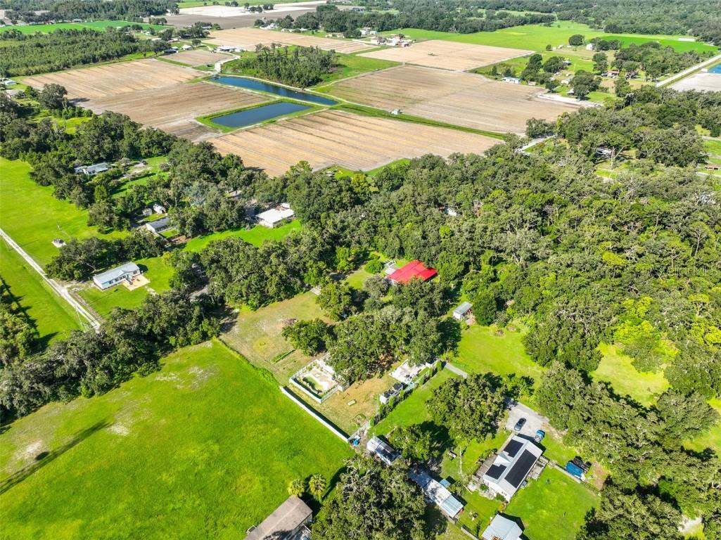 5410 Thonotosassa Road Plant City FL 33565 TB8409090 image15