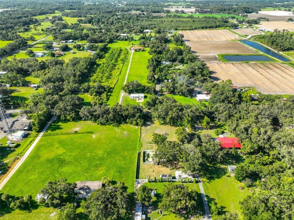 5410 Thonotosassa Road Plant City FL 33565 TB8409090 image16