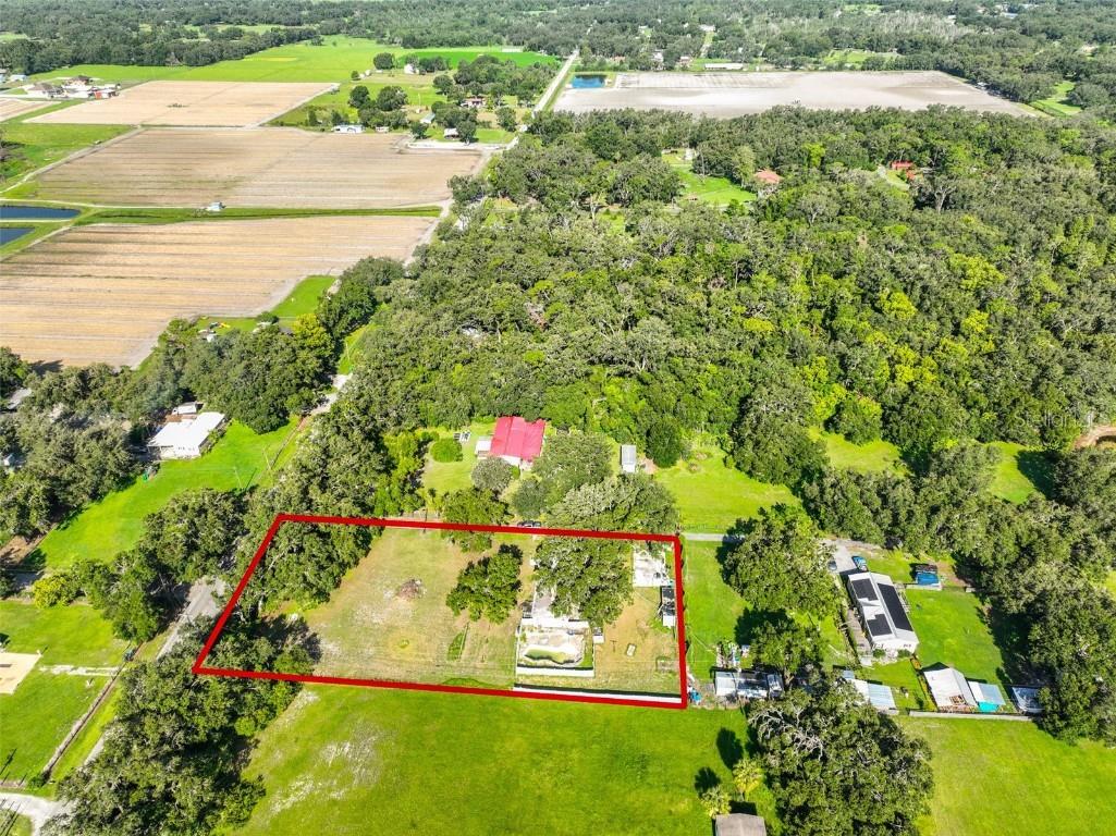 5410 Thonotosassa Road Plant City FL 33565 TB8409090 image2