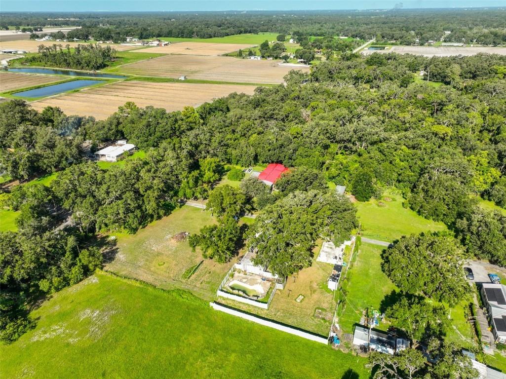 5410 Thonotosassa Road Plant City FL 33565 TB8409090 image9