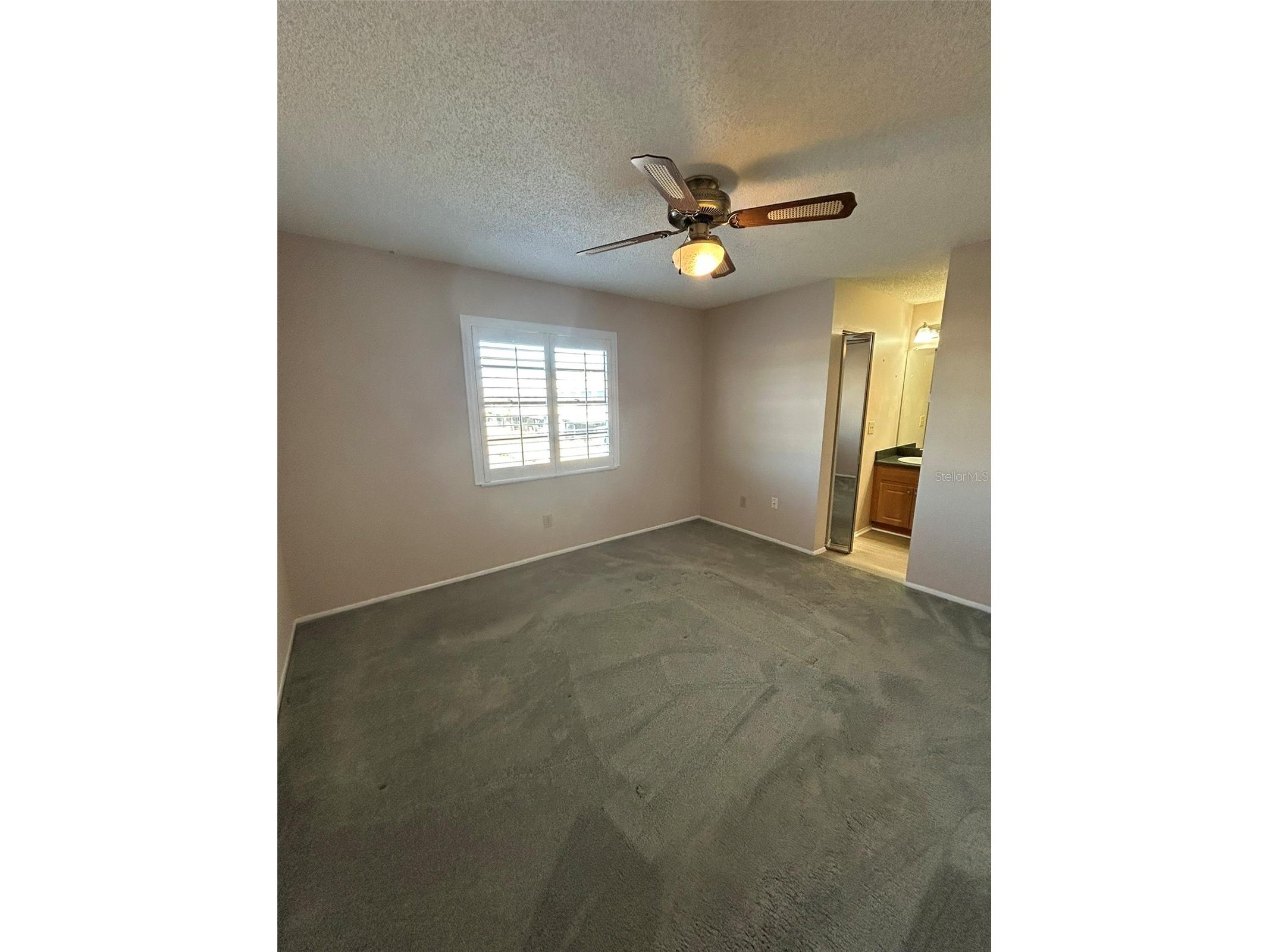 5411 Britwell Court Tampa FL 33624 TB8474997 image10