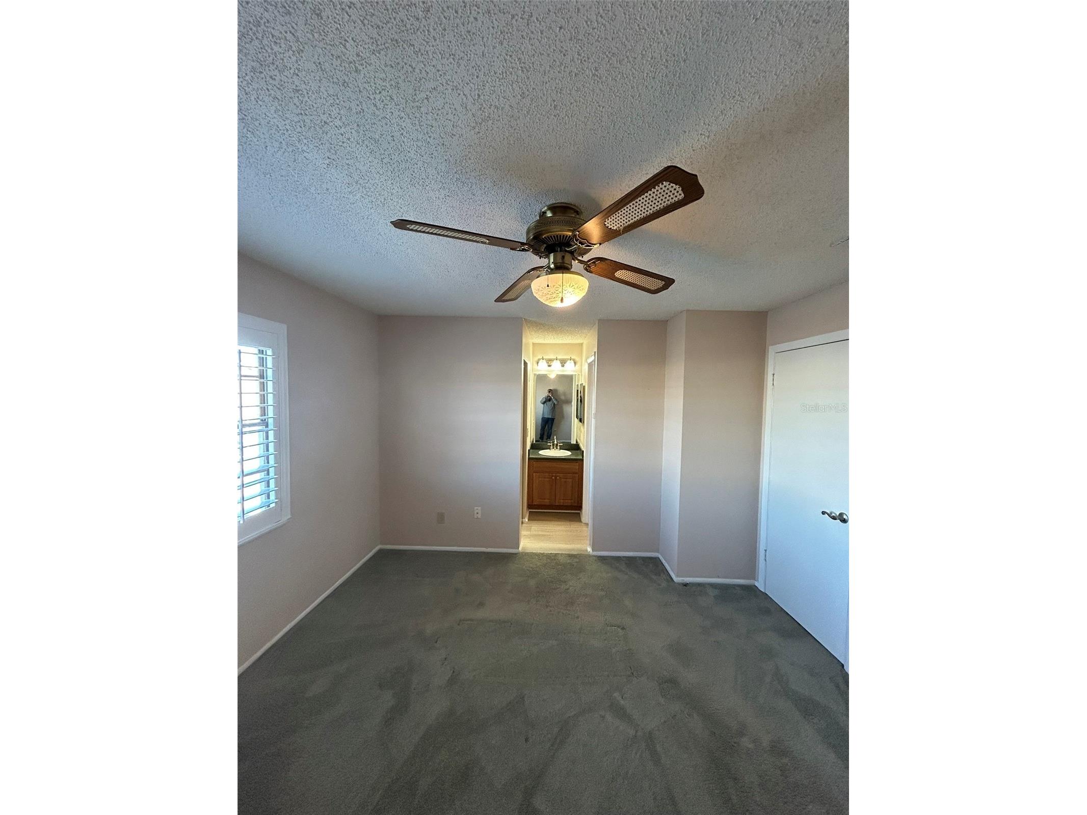 5411 Britwell Court Tampa FL 33624 TB8474997 image11