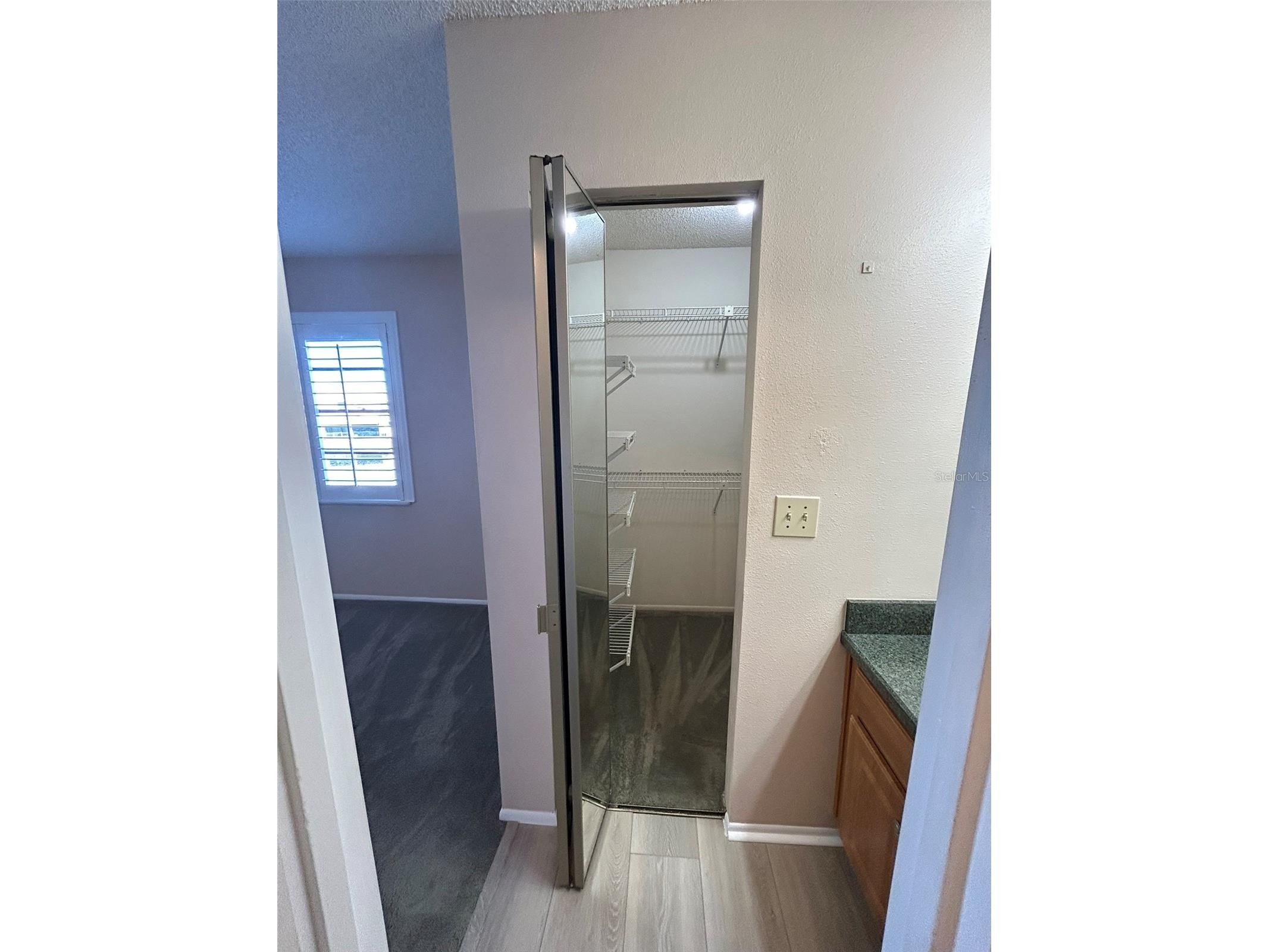 5411 Britwell Court Tampa FL 33624 TB8474997 image12