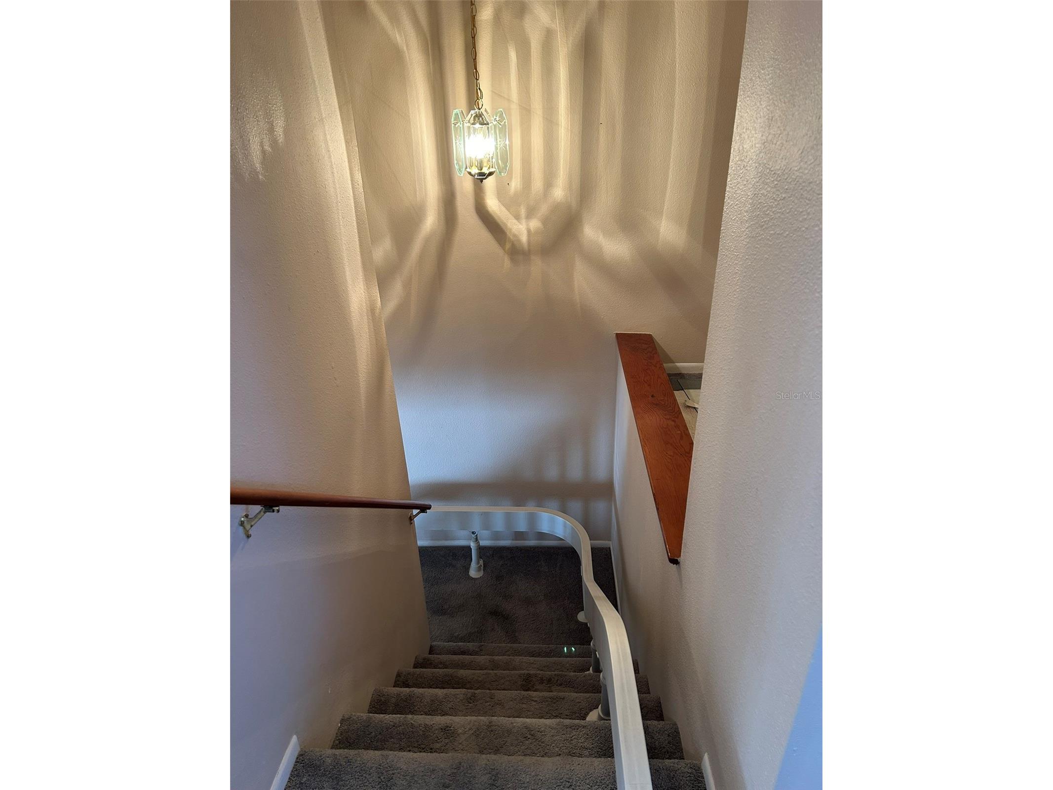 5411 Britwell Court Tampa FL 33624 TB8474997 image16