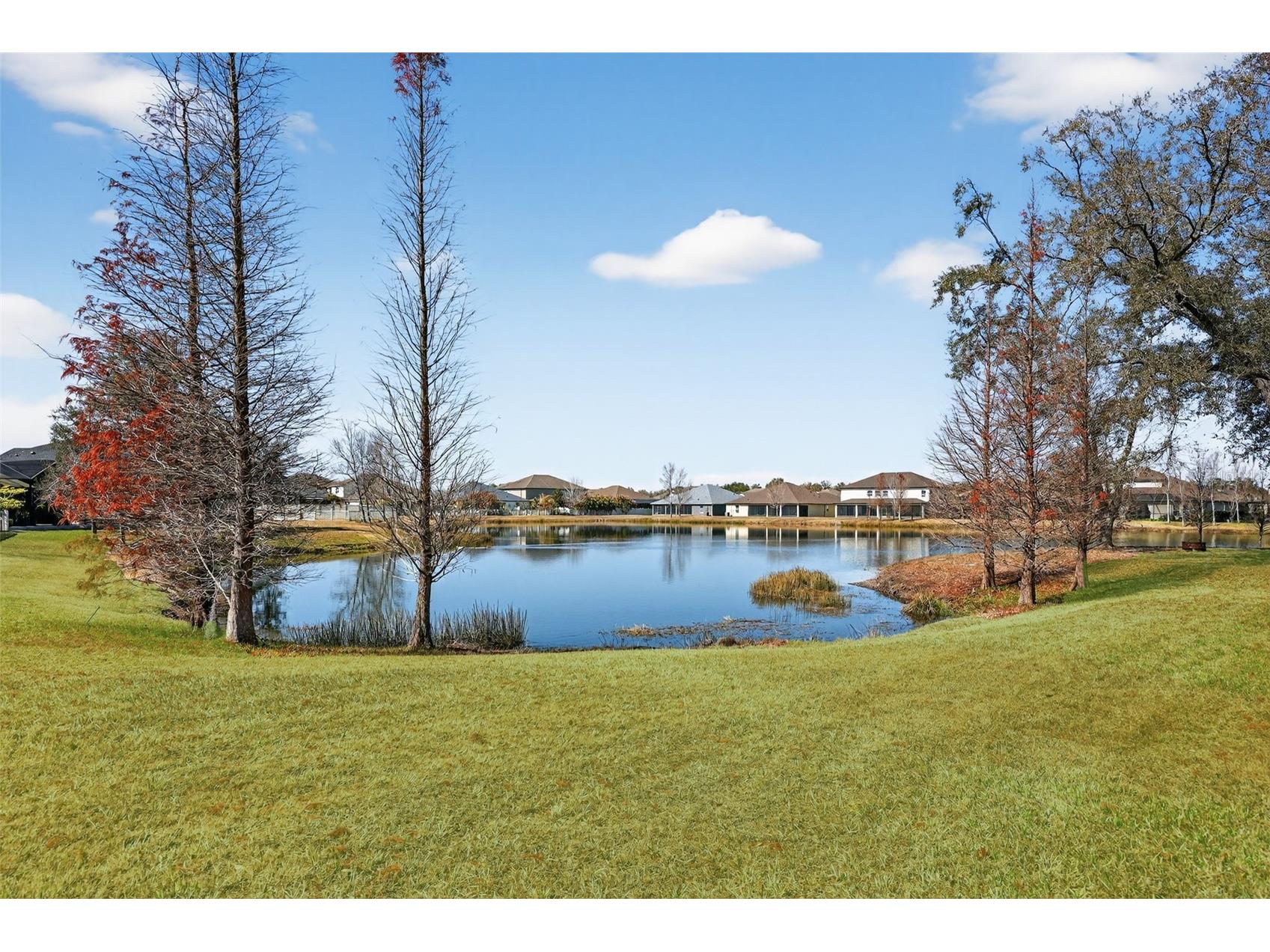 5411 Camberwell Lane Riverview FL 33578 TB8476882 image42