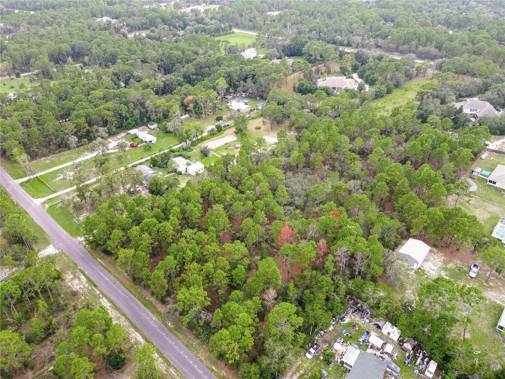 5411 Nodoc Road Spring Hill FL 34609 TB8423449 image3